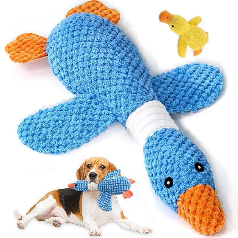 ¿Tu perro destruye todo en 5 minutos? ¡Se acabó!

Pato Tranquilo™ está hecho para los perros más destructores.

✅ INDESTRUCTIBLE - Costura reforzada, aguanta mordidas fuertes
✅ ANTI-ANSIEDAD - Suena "cuac cuac" y calma a tu perro cuando está solo
✅ LIMPIA