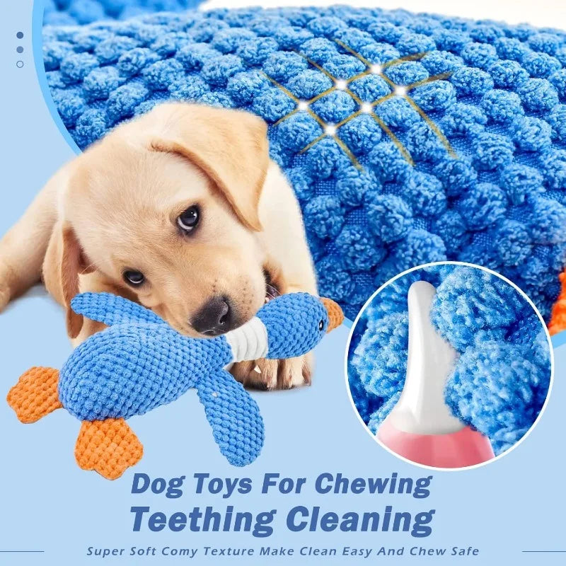 ¿Tu perro destruye todo en 5 minutos? ¡Se acabó!

Pato Tranquilo™ está hecho para los perros más destructores.

✅ INDESTRUCTIBLE - Costura reforzada, aguanta mordidas fuertes
✅ ANTI-ANSIEDAD - Suena "cuac cuac" y calma a tu perro cuando está solo
✅ LIMPIA