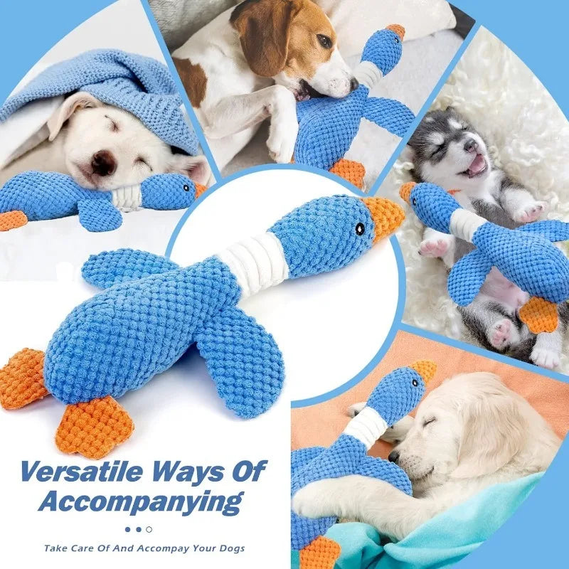 ¿Tu perro destruye todo en 5 minutos? ¡Se acabó!

Pato Tranquilo™ está hecho para los perros más destructores.

✅ INDESTRUCTIBLE - Costura reforzada, aguanta mordidas fuertes
✅ ANTI-ANSIEDAD - Suena "cuac cuac" y calma a tu perro cuando está solo
✅ LIMPIA